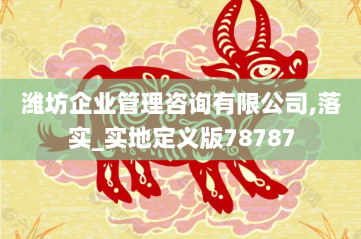 潍坊企业管理咨询有限公司,落实_实地定义版78787