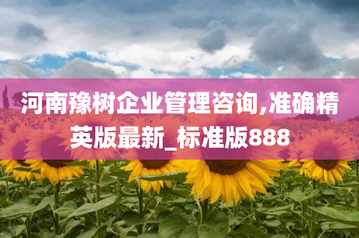 河南豫树企业管理咨询,准确精英版最新_标准版888