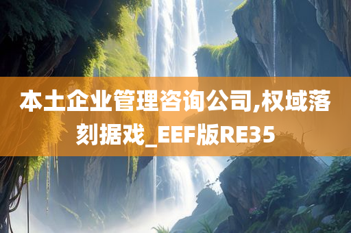 本土企业管理咨询公司,权域落刻据戏_EEF版RE35