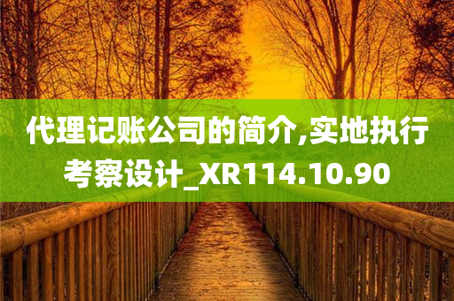 代理记账公司的简介,实地执行考察设计_XR114.10.90