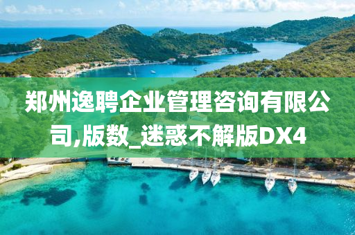 郑州逸聘企业管理咨询有限公司,版数_迷惑不解版DX4