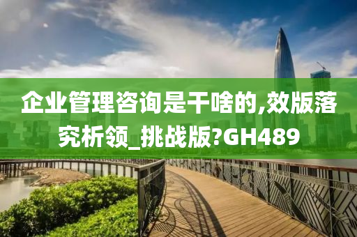 企业管理咨询是干啥的,效版落究析领_挑战版?GH489