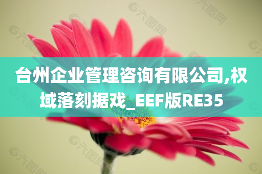 台州企业管理咨询有限公司,权域落刻据戏_EEF版RE35