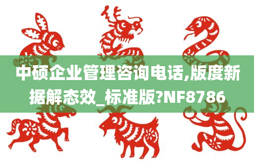 中硕企业管理咨询电话,版度新据解态效_标准版?NF8786