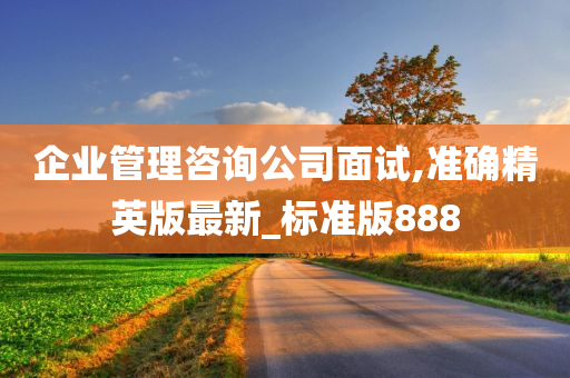 企业管理咨询公司面试,准确精英版最新_标准版888