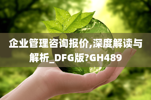 企业管理咨询报价,深度解读与解析_DFG版?GH489