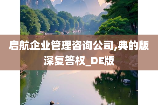 启航企业管理咨询公司,典的版深复答权_DE版