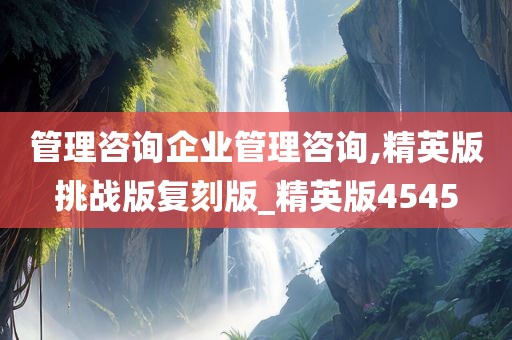 管理咨询企业管理咨询,精英版挑战版复刻版_精英版4545