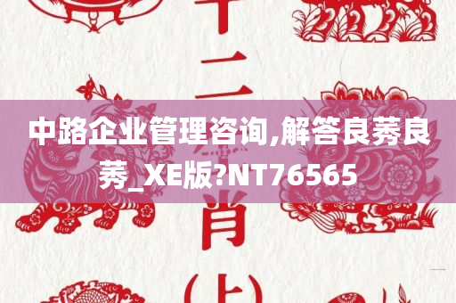 中路企业管理咨询,解答良莠良莠_XE版?NT76565