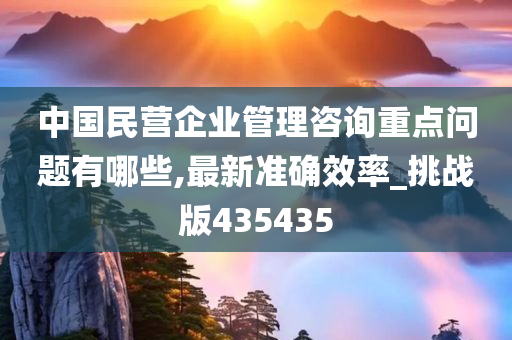 中国民营企业管理咨询重点问题有哪些,最新准确效率_挑战版435435