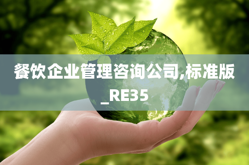 餐饮企业管理咨询公司,标准版_RE35