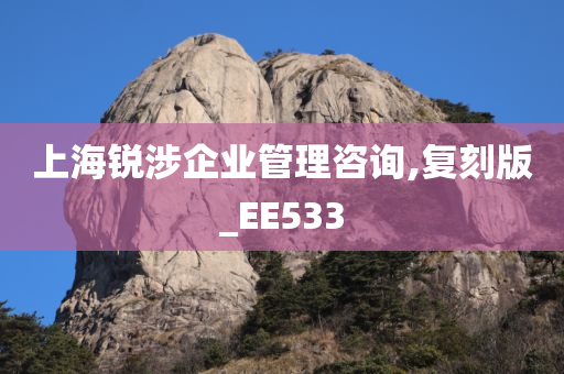 上海锐涉企业管理咨询,复刻版_EE533