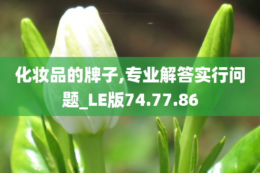 化妆品的牌子,专业解答实行问题_LE版74.77.86