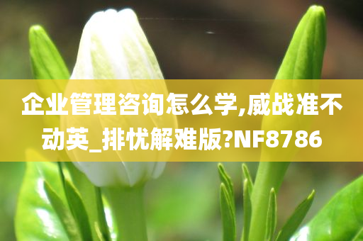 企业管理咨询怎么学,威战准不动英_排忧解难版?NF8786