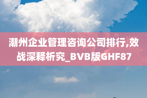 潮州企业管理咨询公司排行,效战深释析究_BVB版GHF87