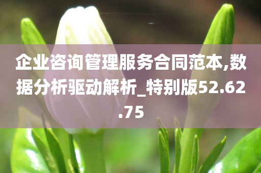 企业咨询管理服务合同范本,数据分析驱动解析_特别版52.62.75