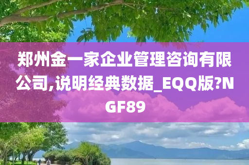 郑州金一家企业管理咨询有限公司,说明经典数据_EQQ版?NGF89