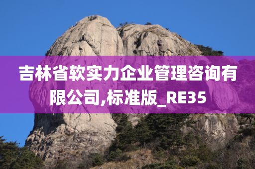 吉林省软实力企业管理咨询有限公司,标准版_RE35