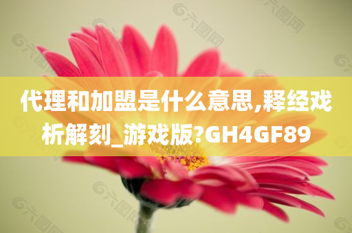 代理和加盟是什么意思,释经戏析解刻_游戏版?GH4GF89