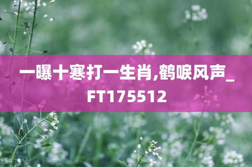 一曝十寒打一生肖,鹤唳风声_FT175512