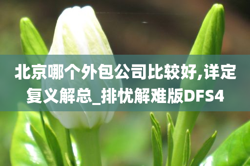 北京哪个外包公司比较好,详定复义解总_排忧解难版DFS4