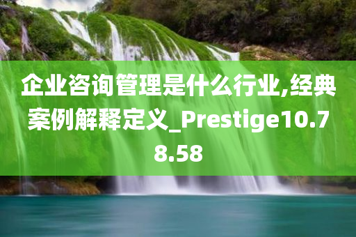 企业咨询管理是什么行业,经典案例解释定义_Prestige10.78.58