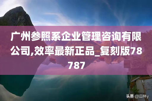 广州参照系企业管理咨询有限公司,效率最新正品_复刻版78787