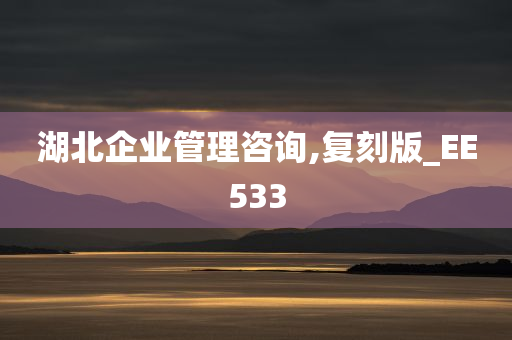 湖北企业管理咨询,复刻版_EE533