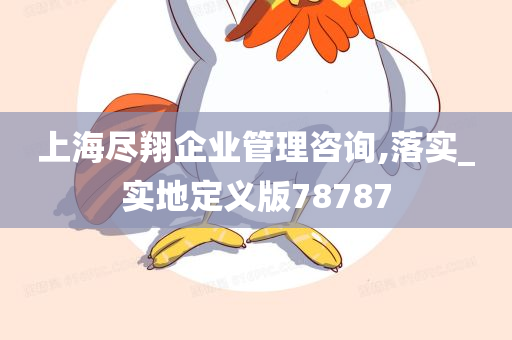 上海尽翔企业管理咨询,落实_实地定义版78787