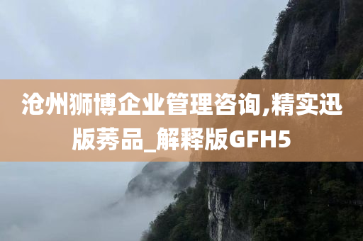 沧州狮博企业管理咨询,精实迅版莠品_解释版GFH5