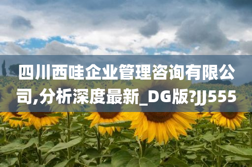 四川西哇企业管理咨询有限公司,分析深度最新_DG版?JJ555