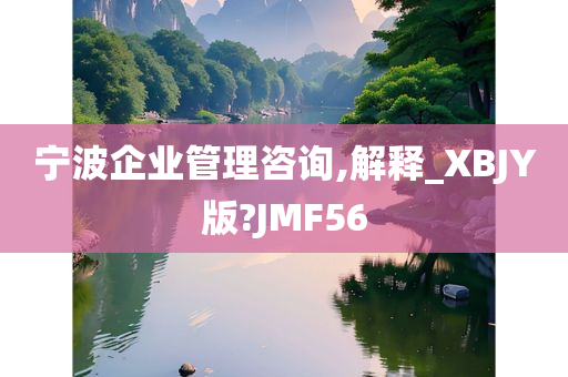 宁波企业管理咨询,解释_XBJY版?JMF56