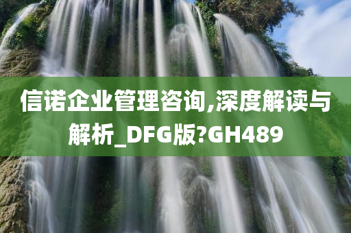 信诺企业管理咨询,深度解读与解析_DFG版?GH489