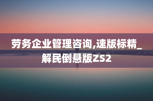 劳务企业管理咨询,速版标精_解民倒悬版ZS2