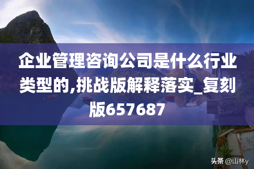 企业管理咨询公司是什么行业类型的,挑战版解释落实_复刻版657687