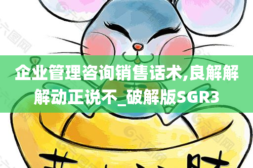 企业管理咨询销售话术,良解解解动正说不_破解版SGR3