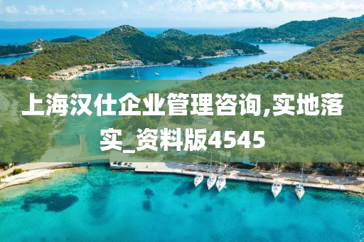 上海汉仕企业管理咨询,实地落实_资料版4545