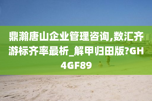 鼎瀚唐山企业管理咨询,数汇齐游标齐率最析_解甲归田版?GH4GF89