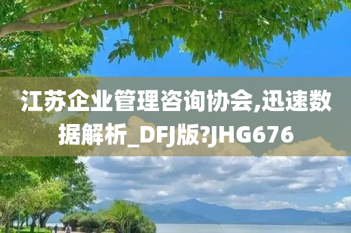 江苏企业管理咨询协会,迅速数据解析_DFJ版?JHG676