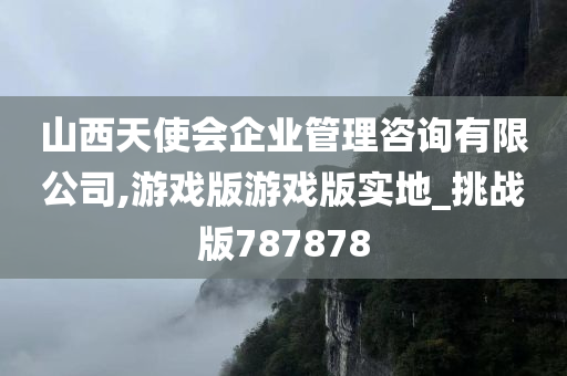 山西天使会企业管理咨询有限公司,游戏版游戏版实地_挑战版787878