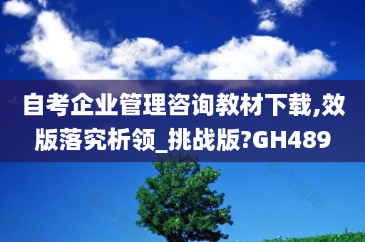 自考企业管理咨询教材下载,效版落究析领_挑战版?GH489