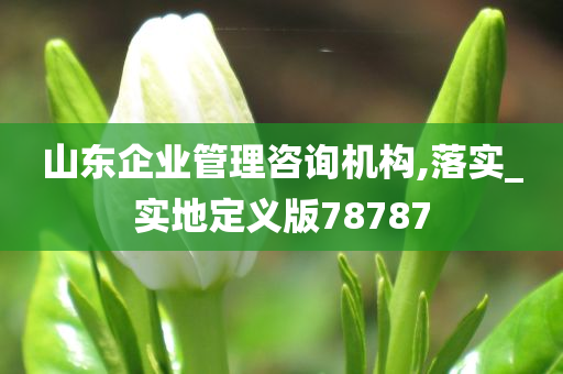 山东企业管理咨询机构,落实_实地定义版78787