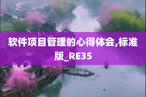 软件项目管理的心得体会,标准版_RE35