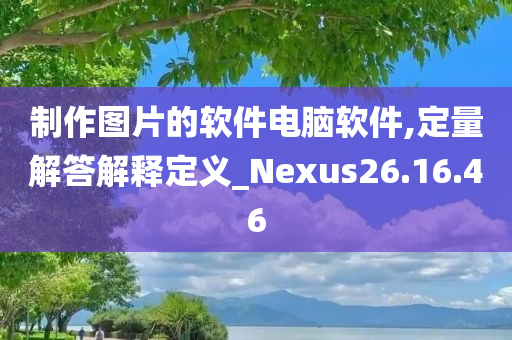 制作图片的软件电脑软件,定量解答解释定义_Nexus26.16.46