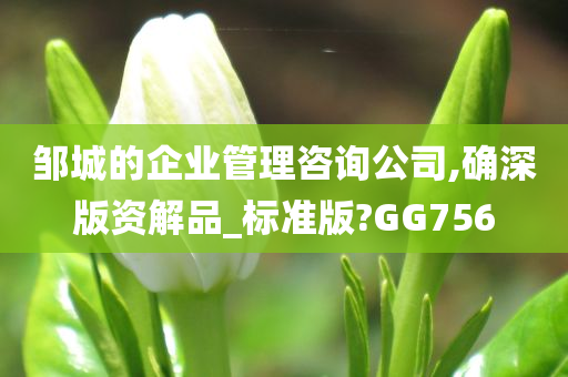 邹城的企业管理咨询公司,确深版资解品_标准版?GG756