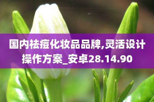 国内祛痘化妆品品牌,灵活设计操作方案_安卓28.14.90