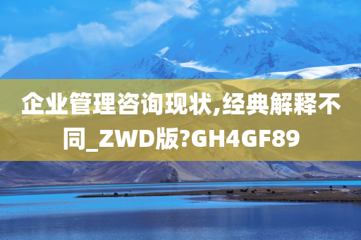 企业管理咨询现状,经典解释不同_ZWD版?GH4GF89