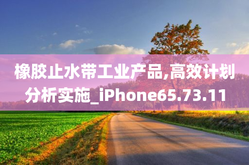 橡胶止水带工业产品,高效计划分析实施_iPhone65.73.11