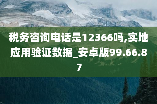 税务咨询电话是12366吗,实地应用验证数据_安卓版99.66.87