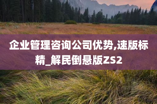 企业管理咨询公司优势,速版标精_解民倒悬版ZS2